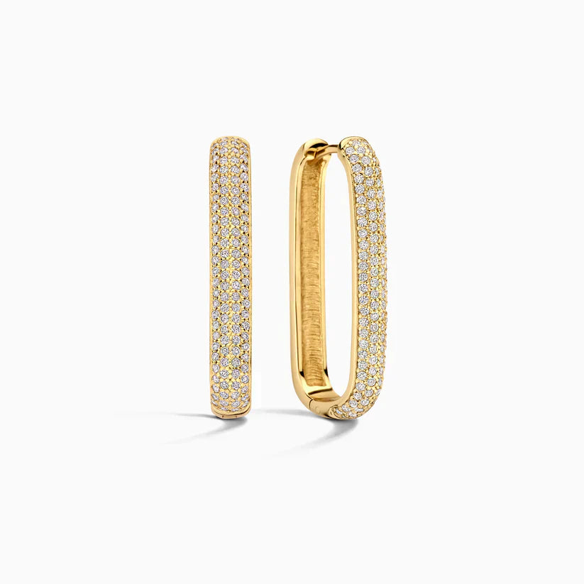 Grandes boucles d’oreilles avec icône de paon